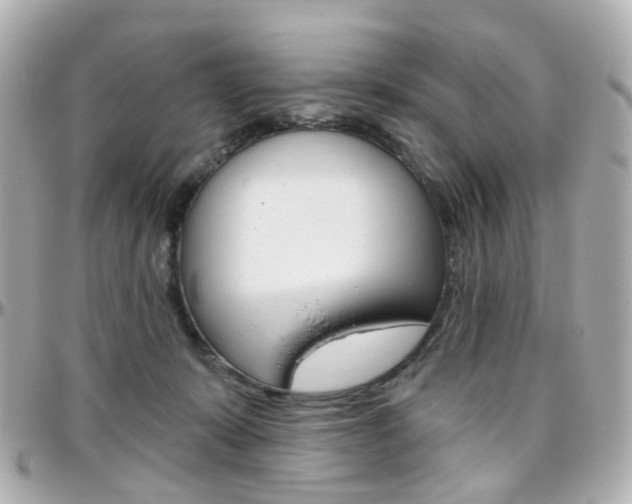 X0000096410319200801241031