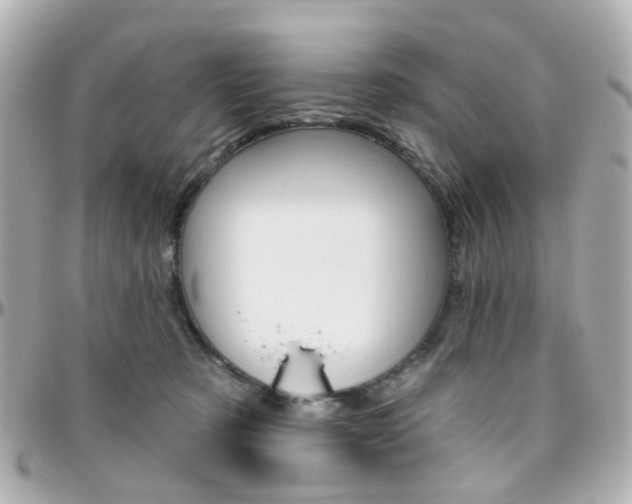 X0000096410321200801241031