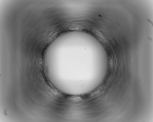 X0000096410322200801241031