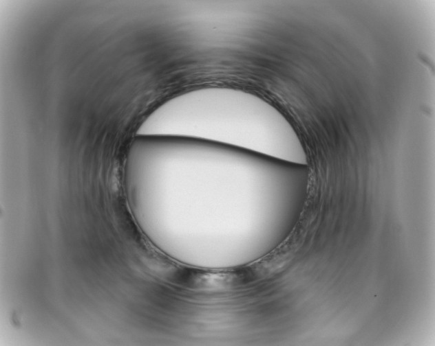 X0000096410323200801241031
