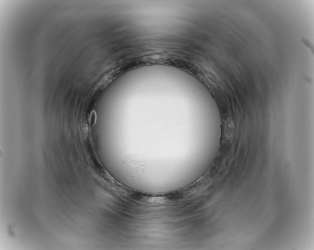 X0000096410324200801241031