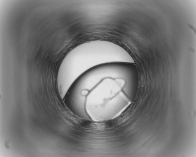 X0000096410328200801241031
