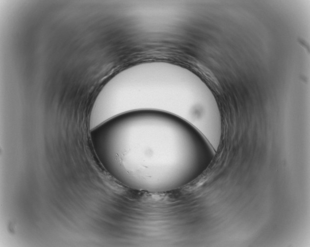 X0000096410329200801241031