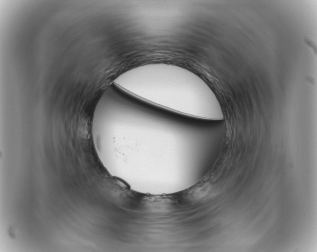 X0000096410331200801241031