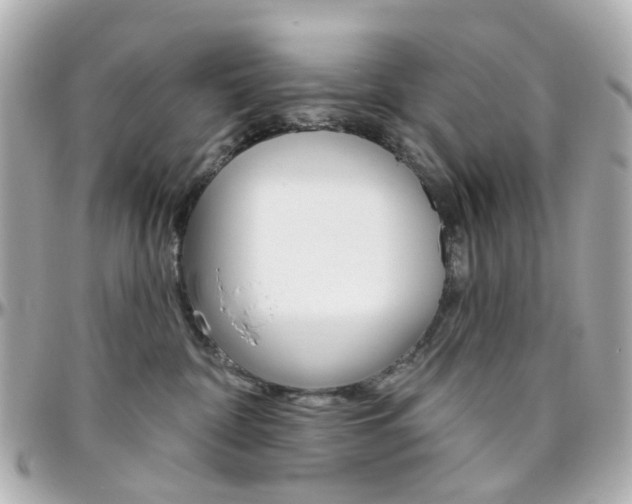 X0000096410332200801241031