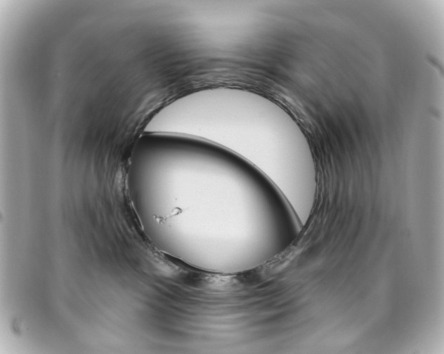 X0000096410333200801241031