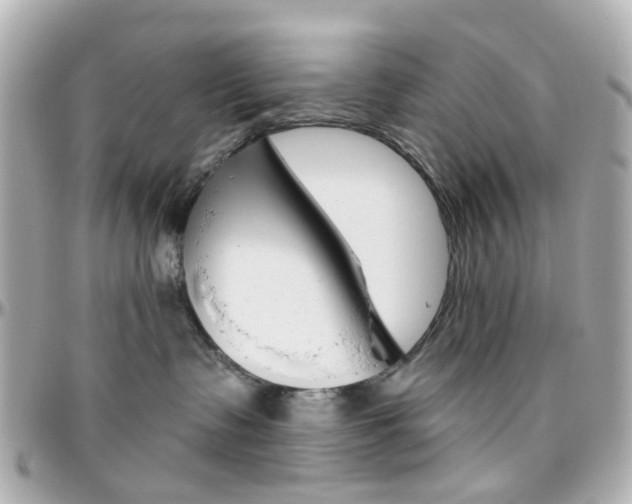X0000096410335200801241031