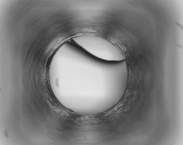 X0000096410338200801241030