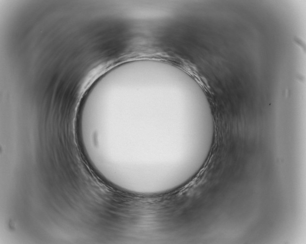 X0000096410340200801241030