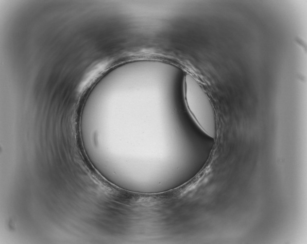 X0000096410341200801241030