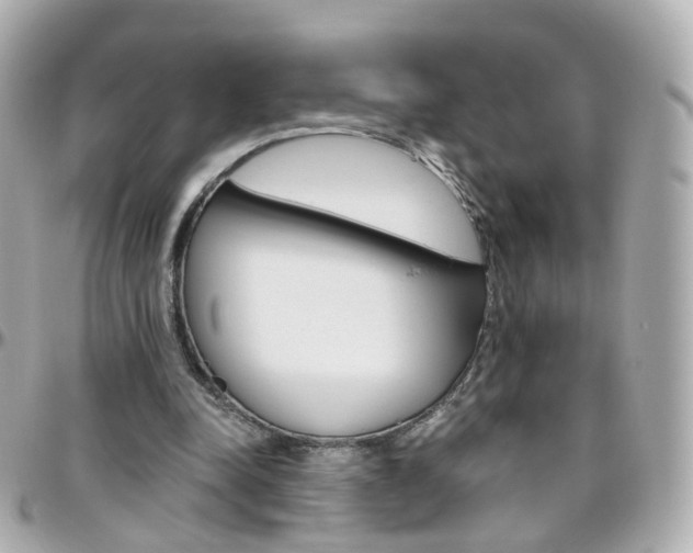 X0000096410342200801241030