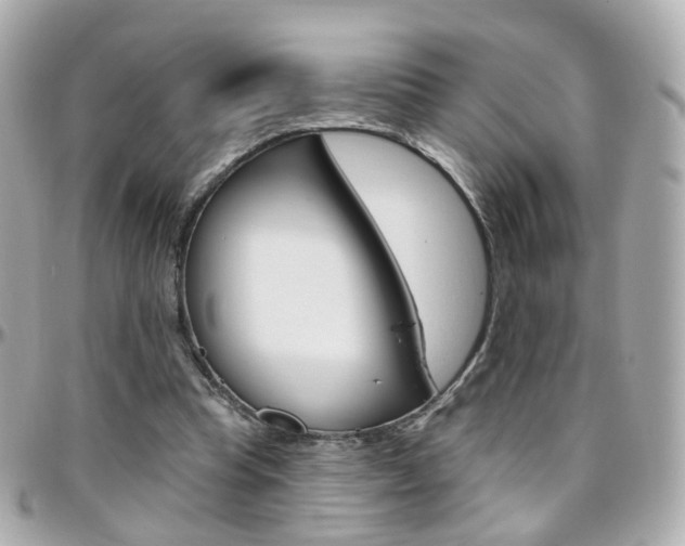 X0000096410345200801241030