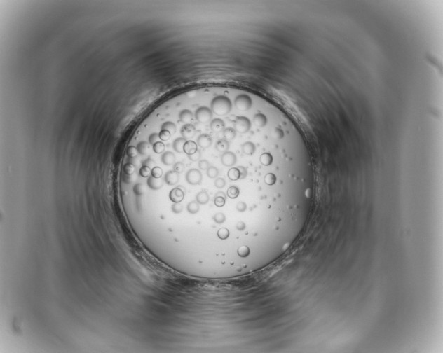 X0000096410346200801241030