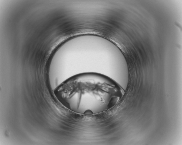 X0000096410350200801241030