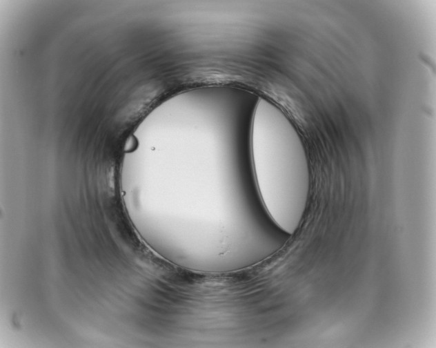 X0000096410358200801241030