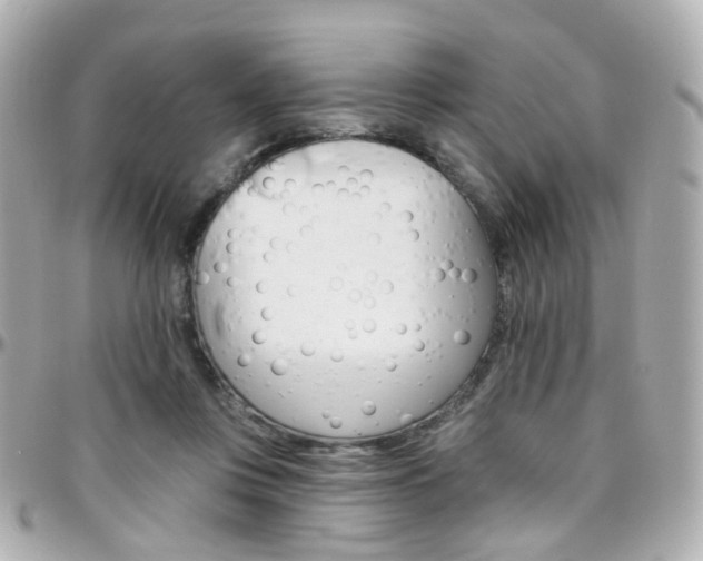 X0000096410359200801241030