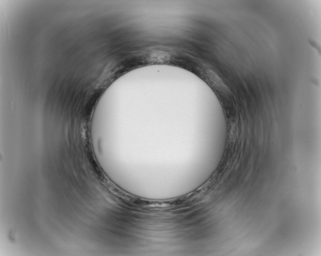 X0000096410363200801241030