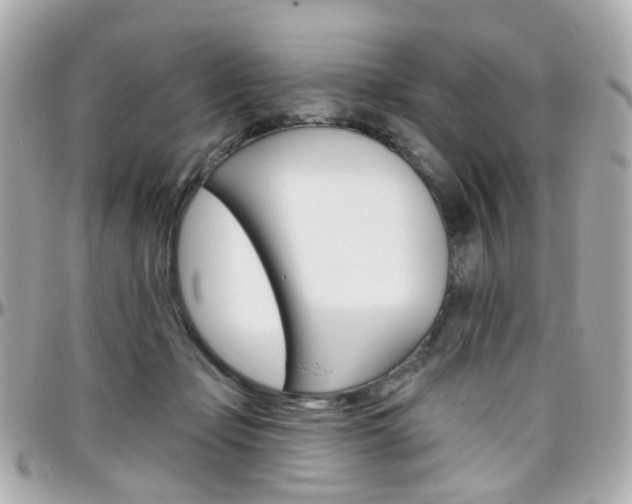 X0000096410365200801241030