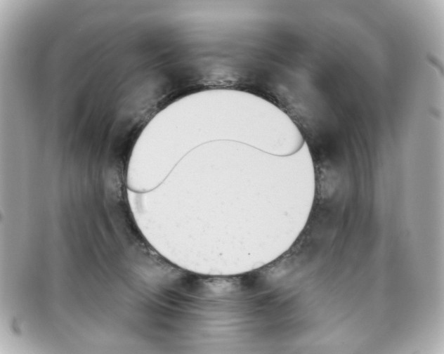 X0000096410370200801241030