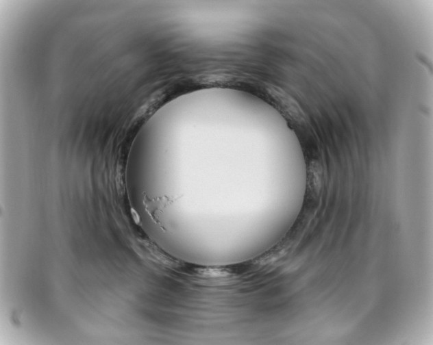 X0000096410380200801241030