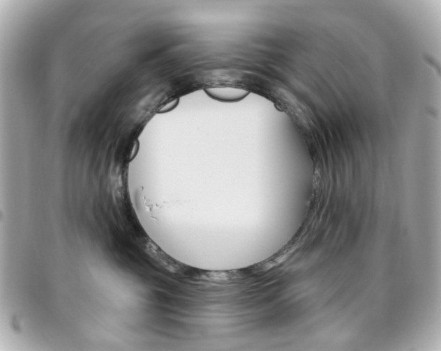 X0000096410381200801241030