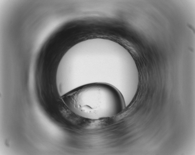 X0000096410382200801241031