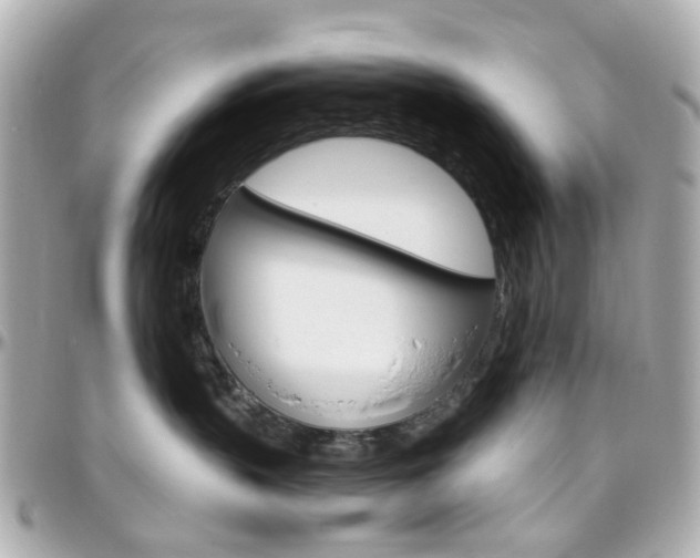 X0000096410383200801241031