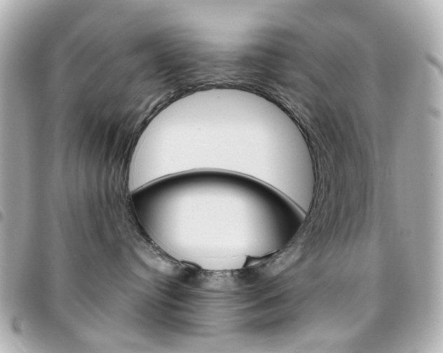 X0000096410384200801241031
