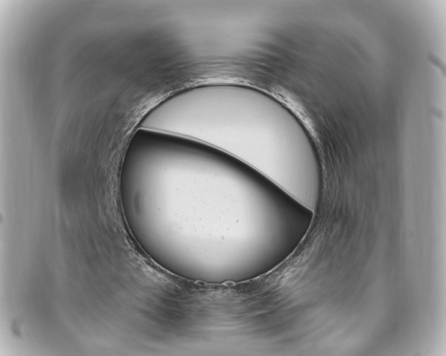 X0000096410385200801241030