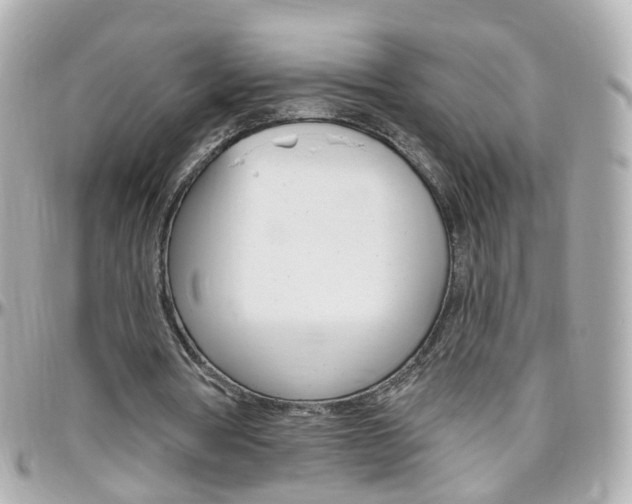 X0000096410386200801241030