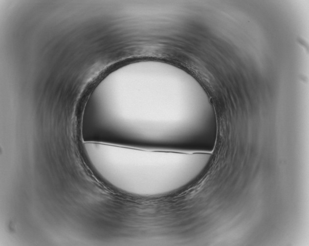 X0000096410388200801241030