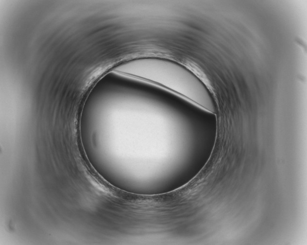 X0000096410389200801241030