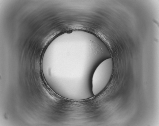 X0000096410390200801241030