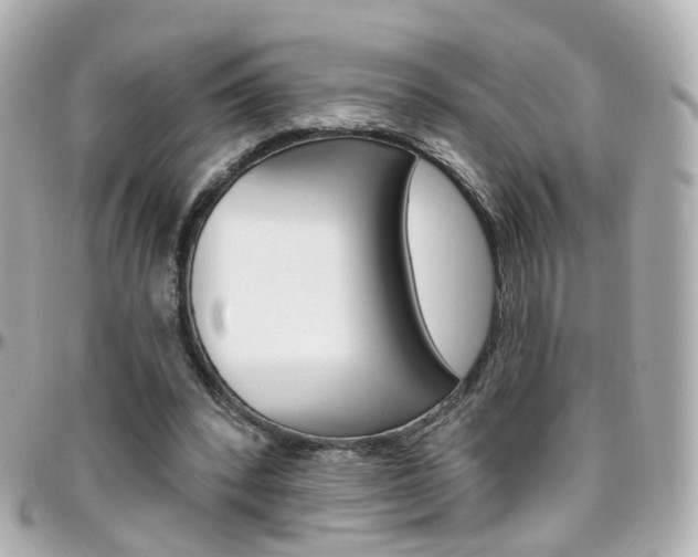 X0000096410392200801241030