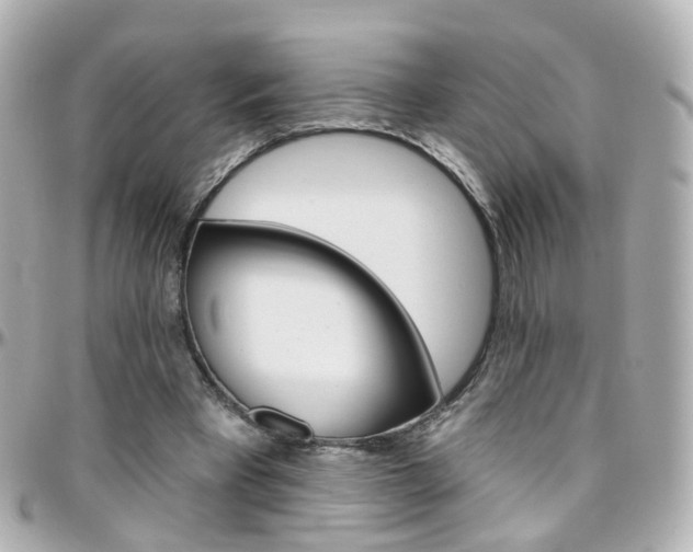 X0000096410393200801241030