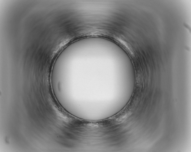 X0000096410394200801241030