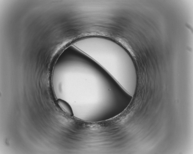 X0000096410395200801241030
