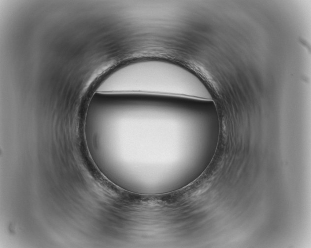 X0000096410396200801241030