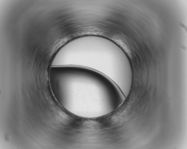 X0000096410397200801241030
