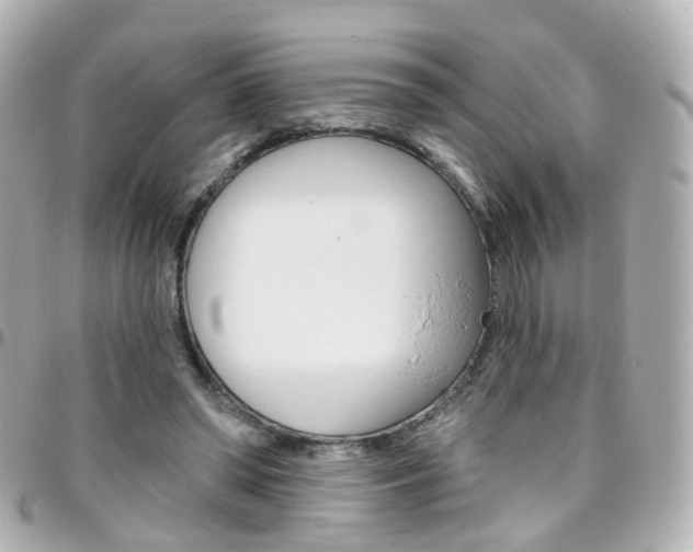 X0000096410398200801241030