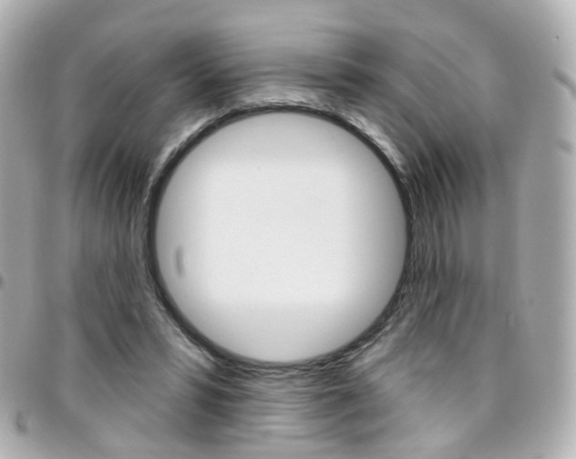 X0000096410399200801241030