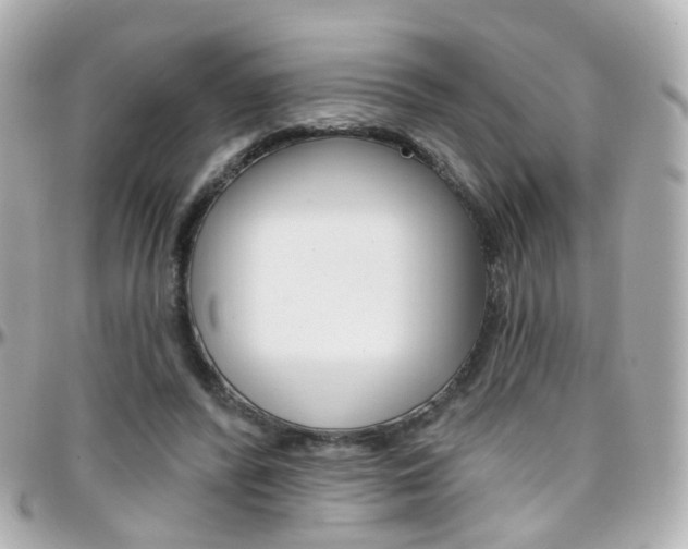 X0000096410400200801241030