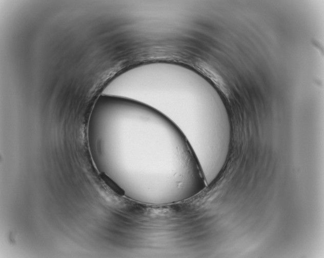 X0000096410401200801241030