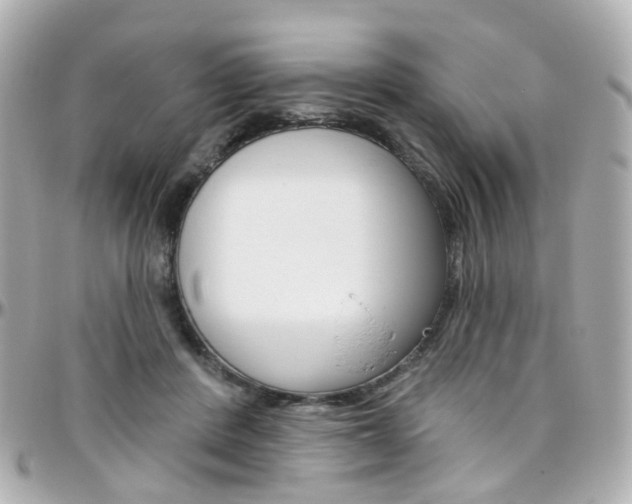 X0000096410408200801241030