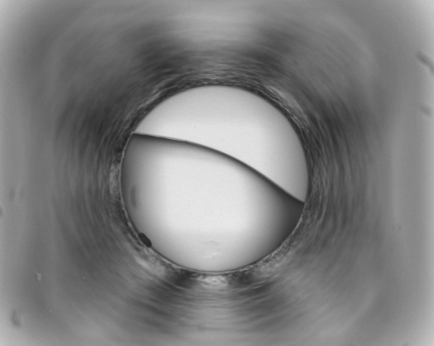X0000096410409200801241030