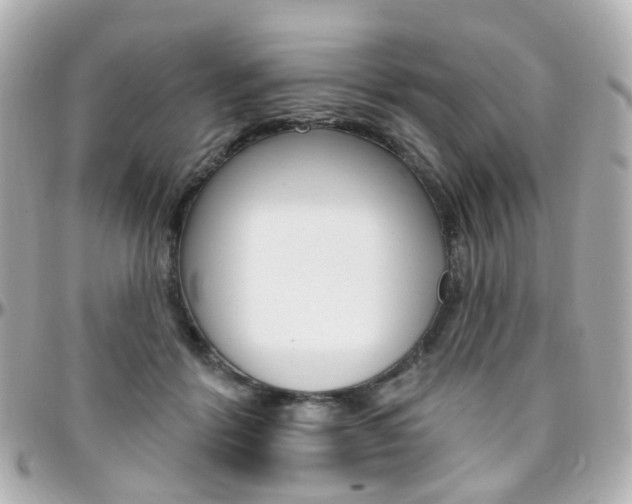 X0000096410412200801241030