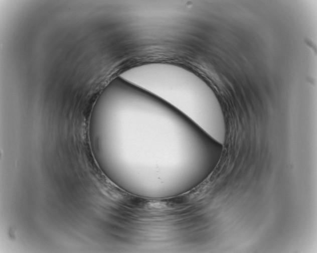 X0000096410413200801241030