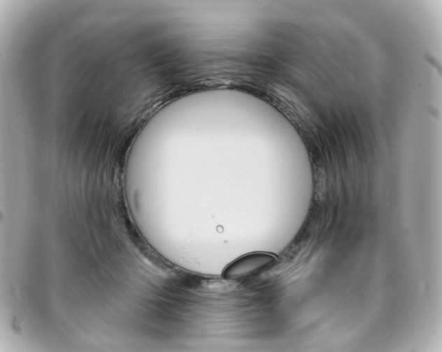 X0000096410414200801241029