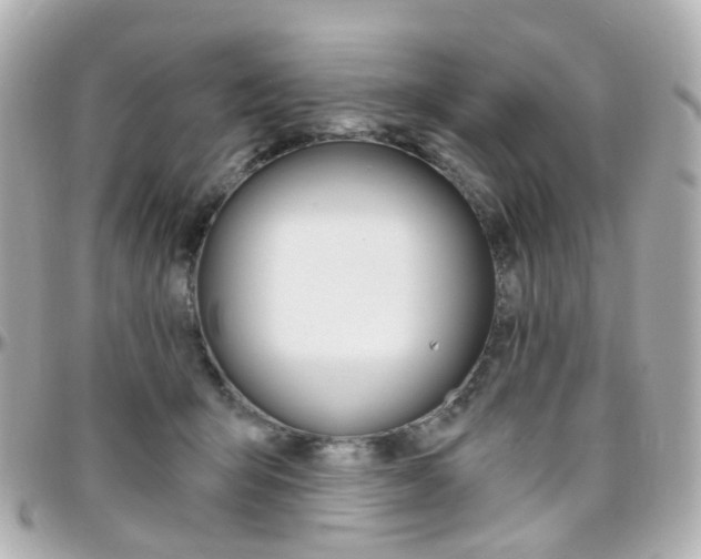 X0000096410415200801241029