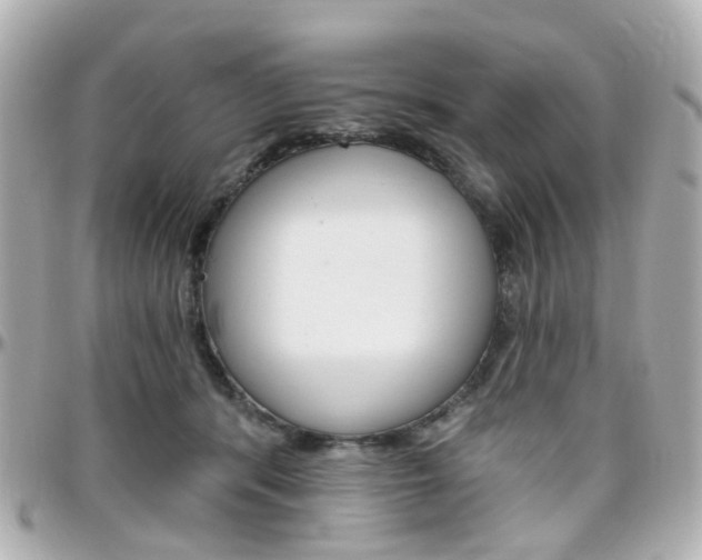 X0000096410416200801241029